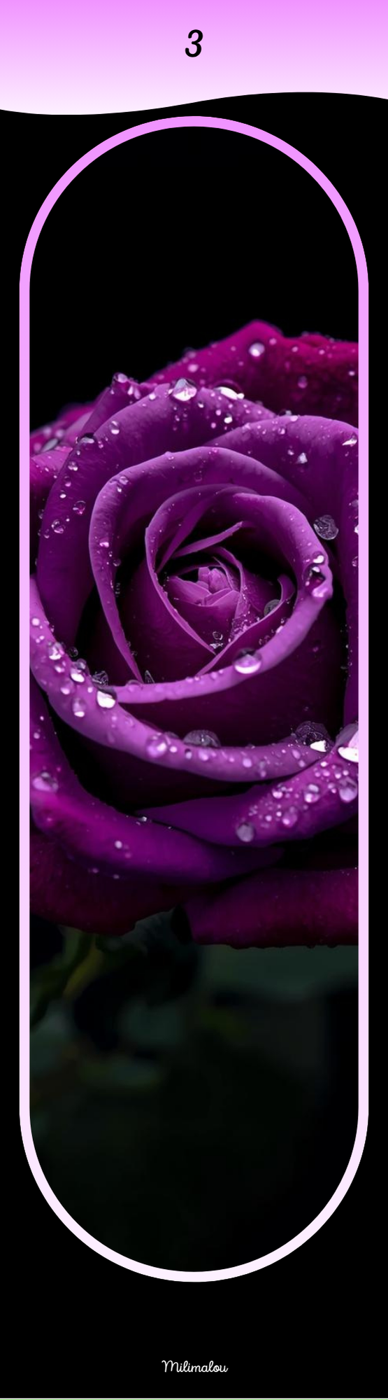 Marque Page A6 Rose