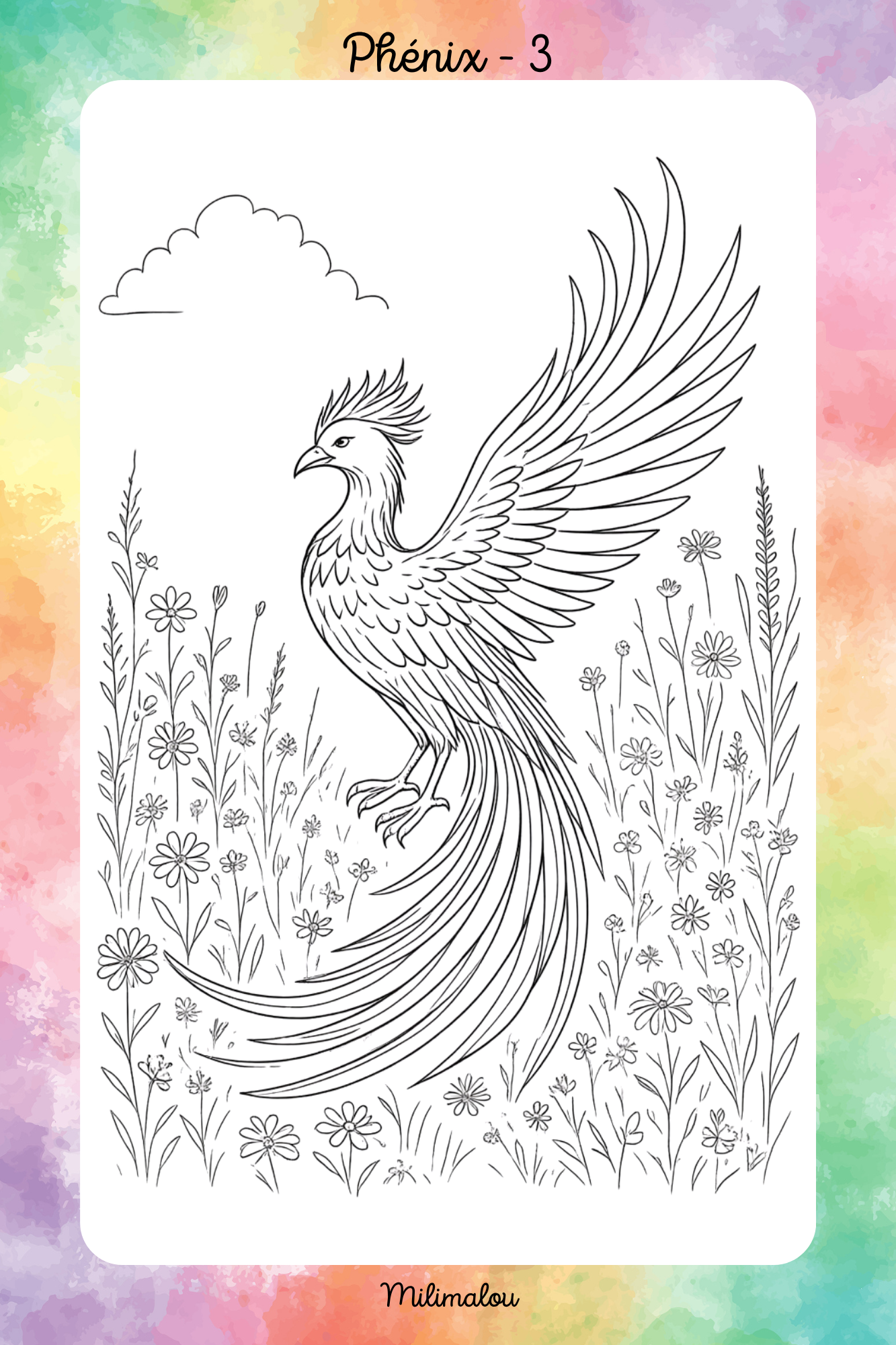 Colo Phénix A5