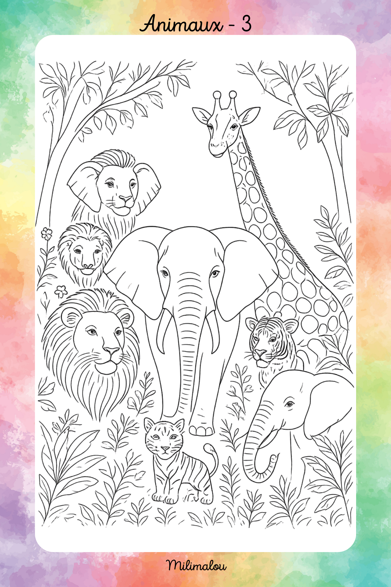 Colo Animaux A5
