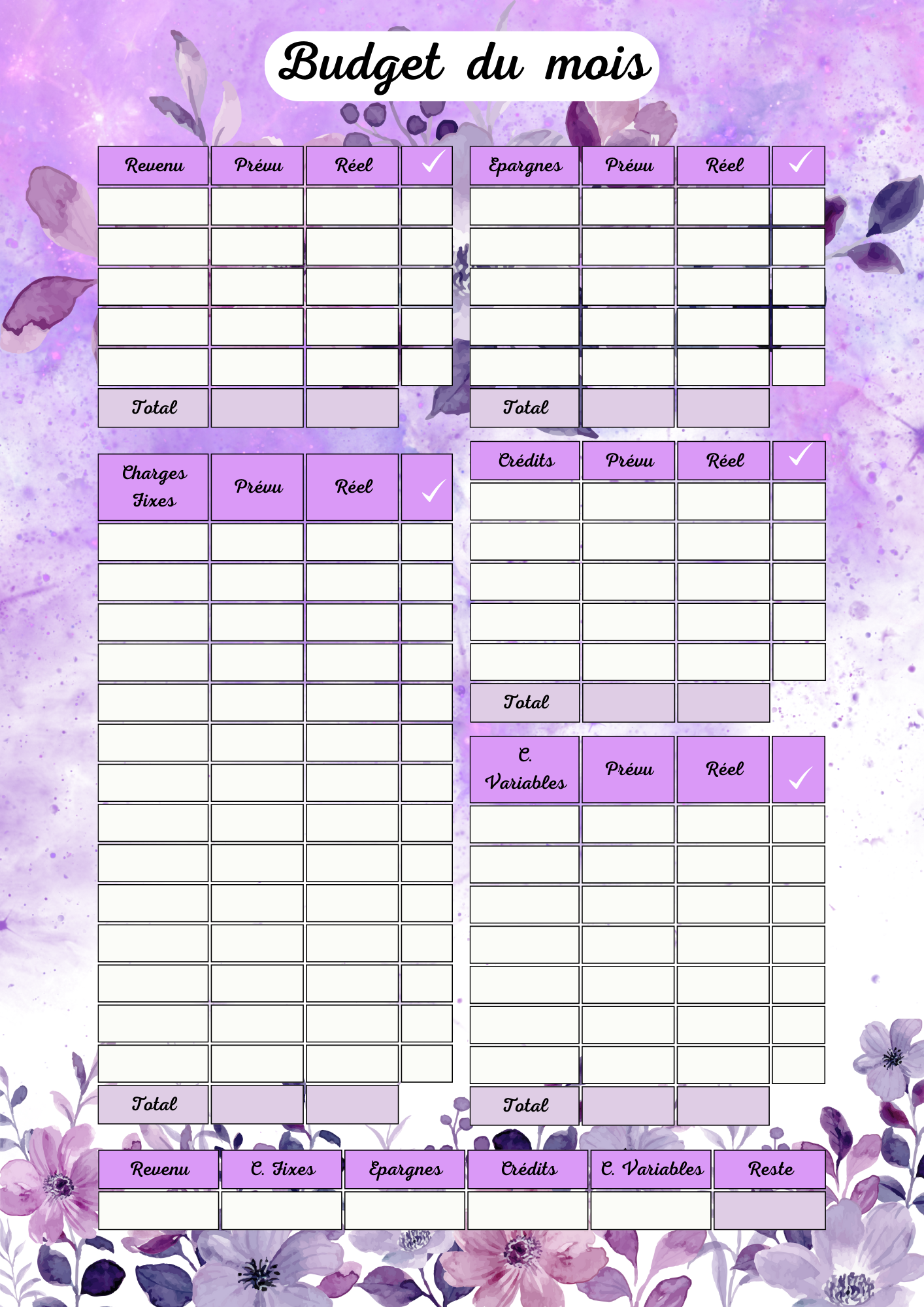 Budget Violet