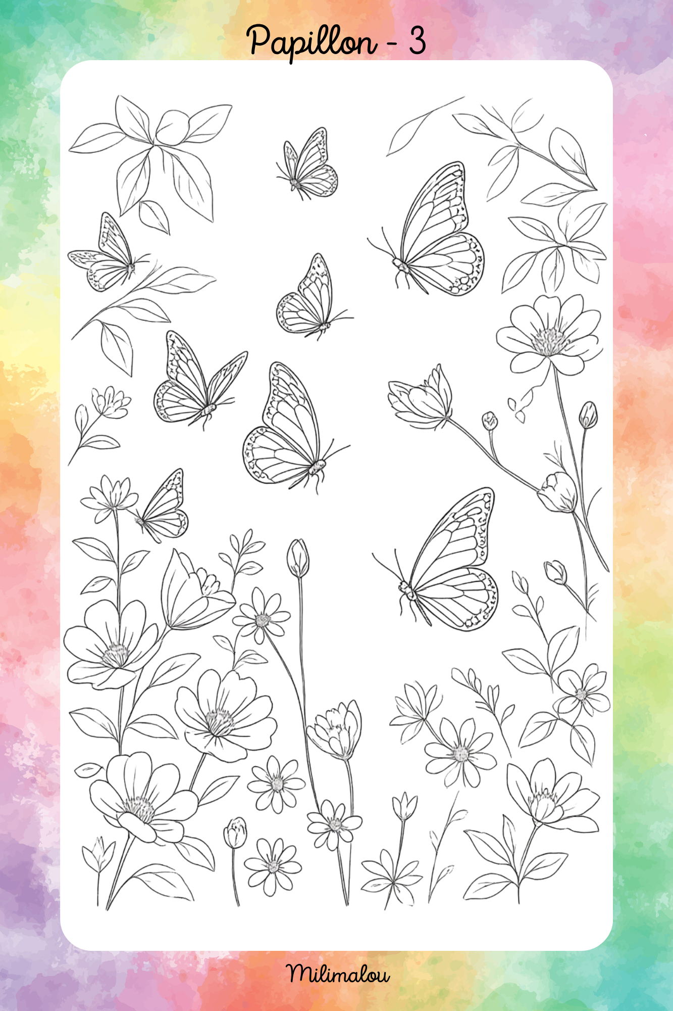 Colo Papillon A5