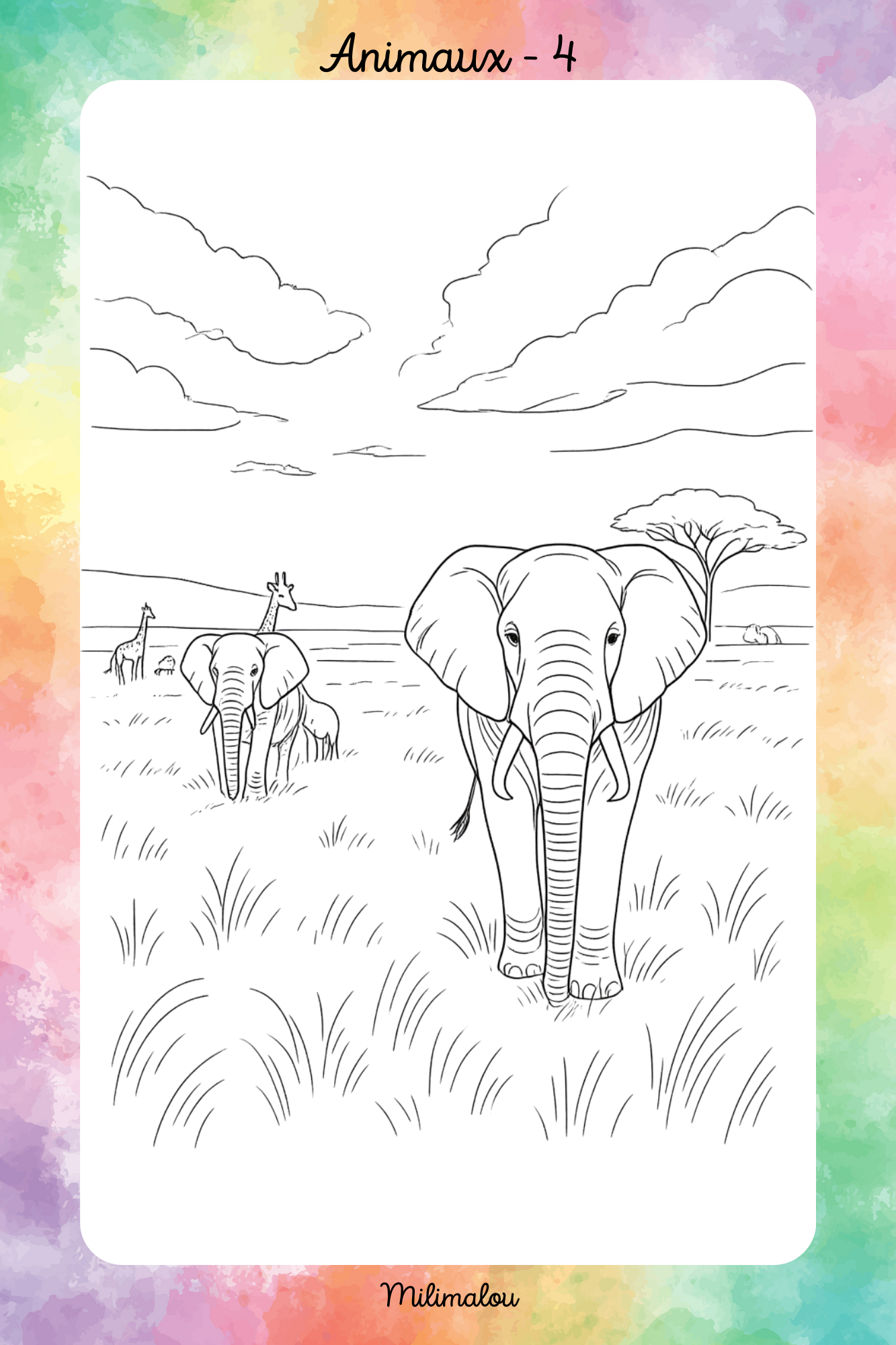 Colo Animaux A5