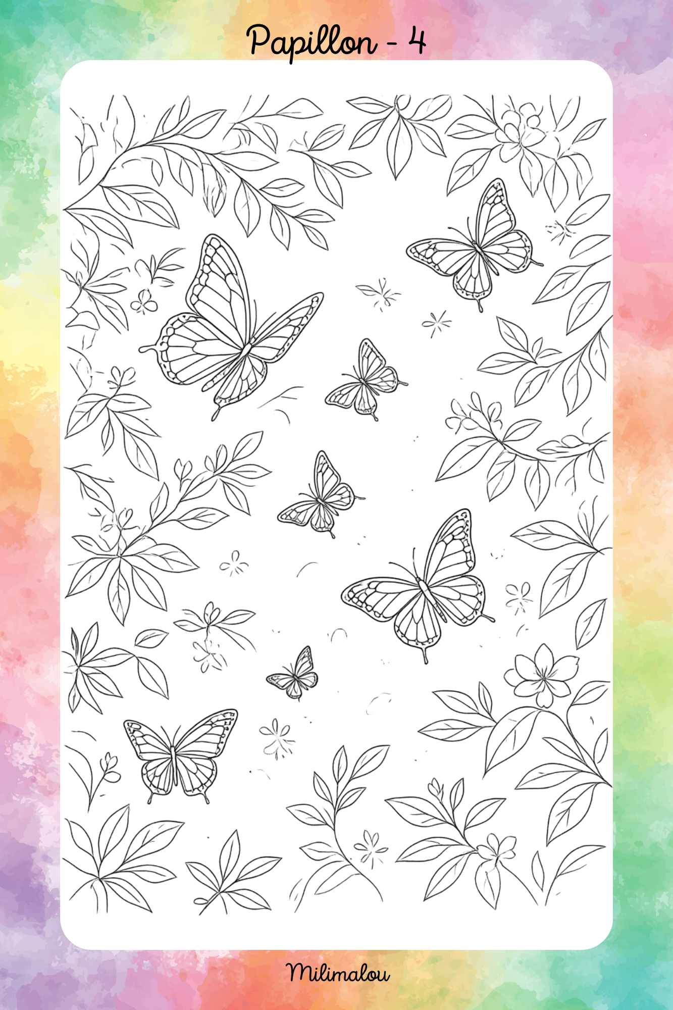 Colo Papillon A5