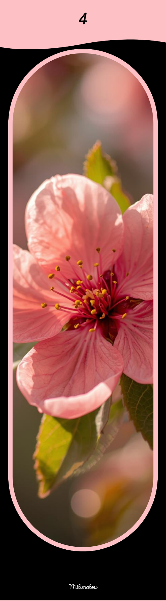 Marque Page A6 Fleurs de Pêcher