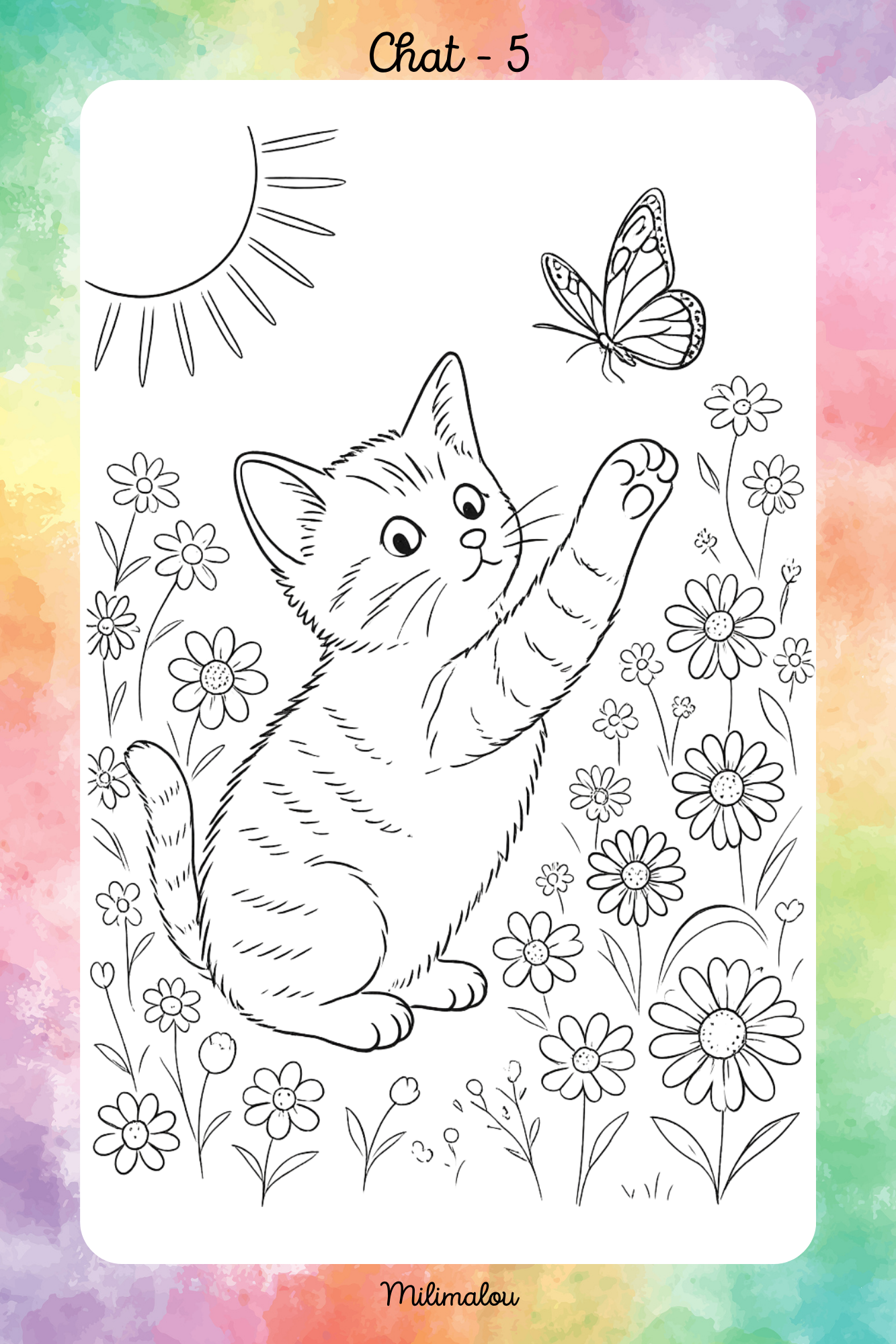 Colo Chat A5