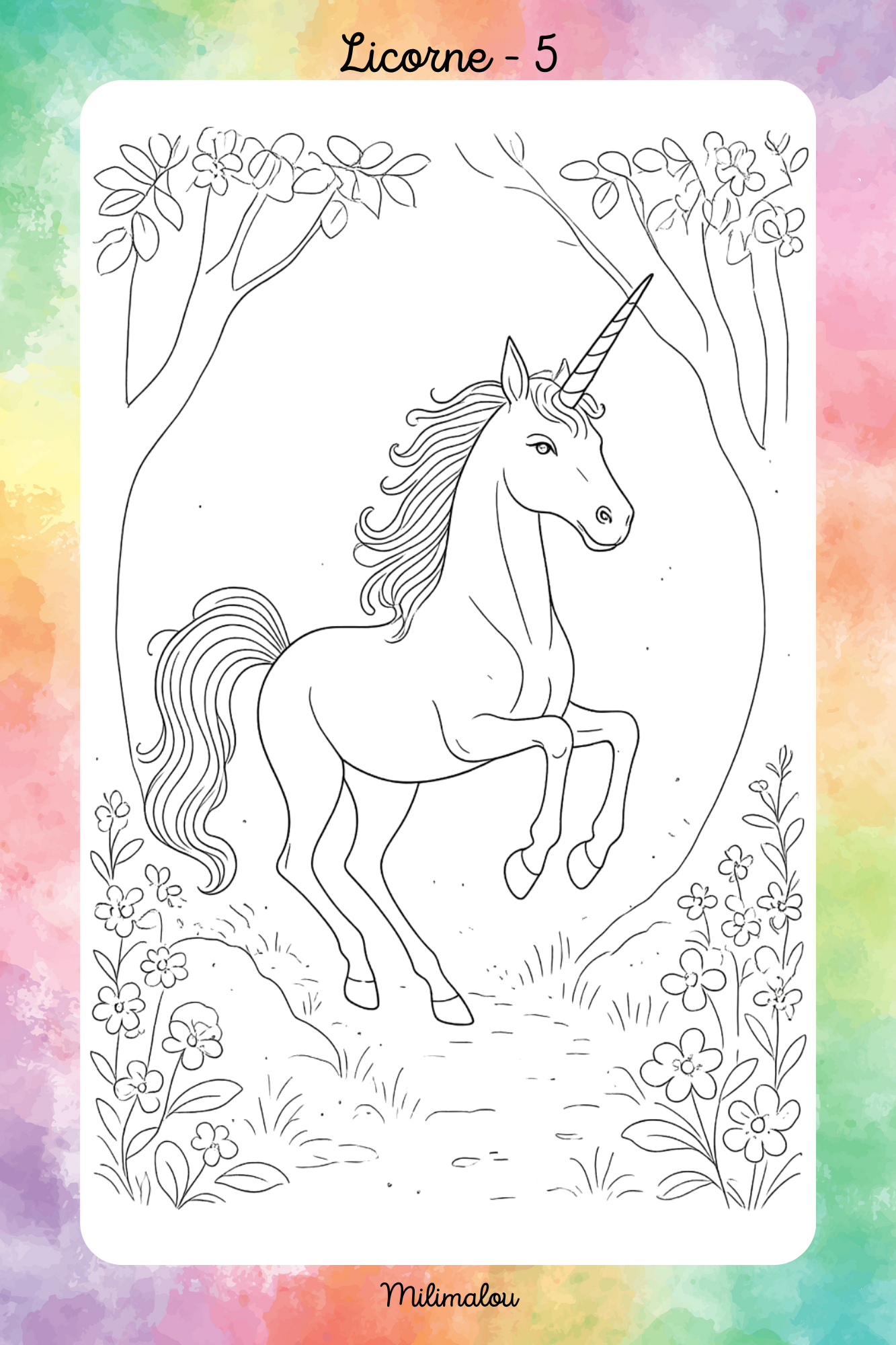 Colo Licorne A5
