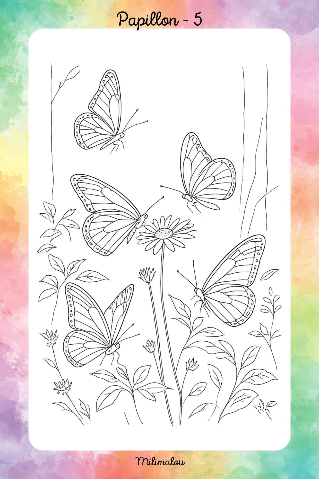 Colo Papillon A5