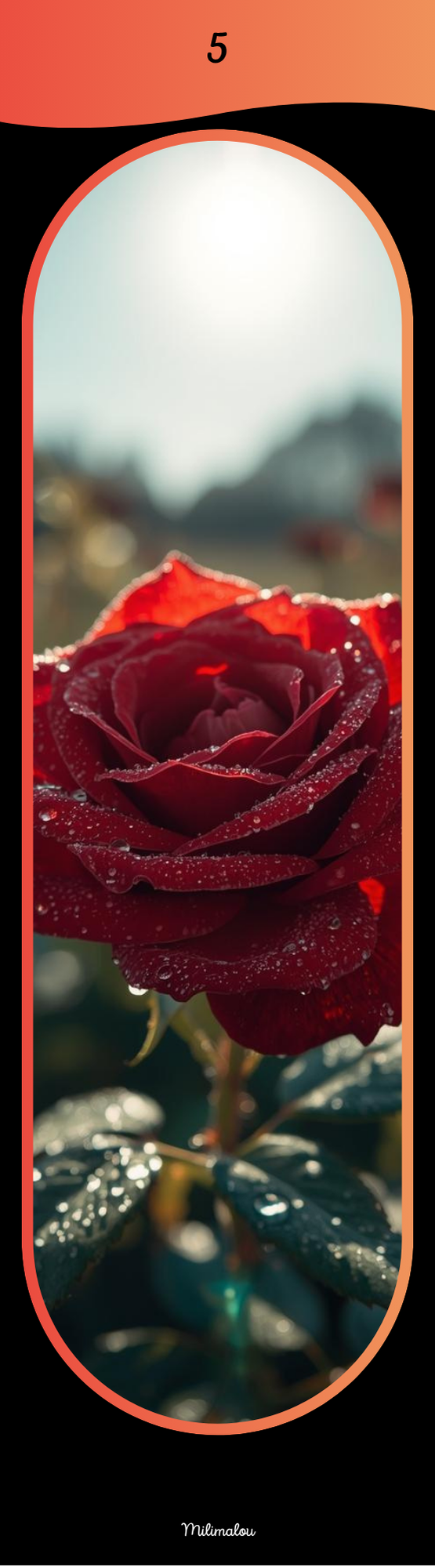 Marque Page A6 Rose
