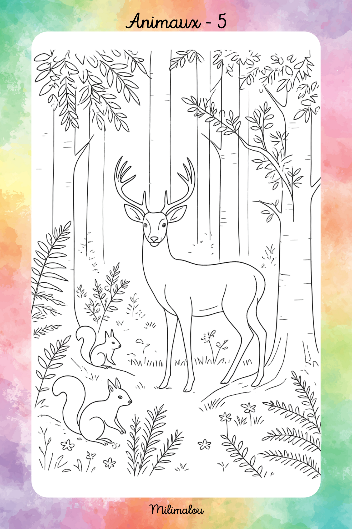 Colo Animaux A5