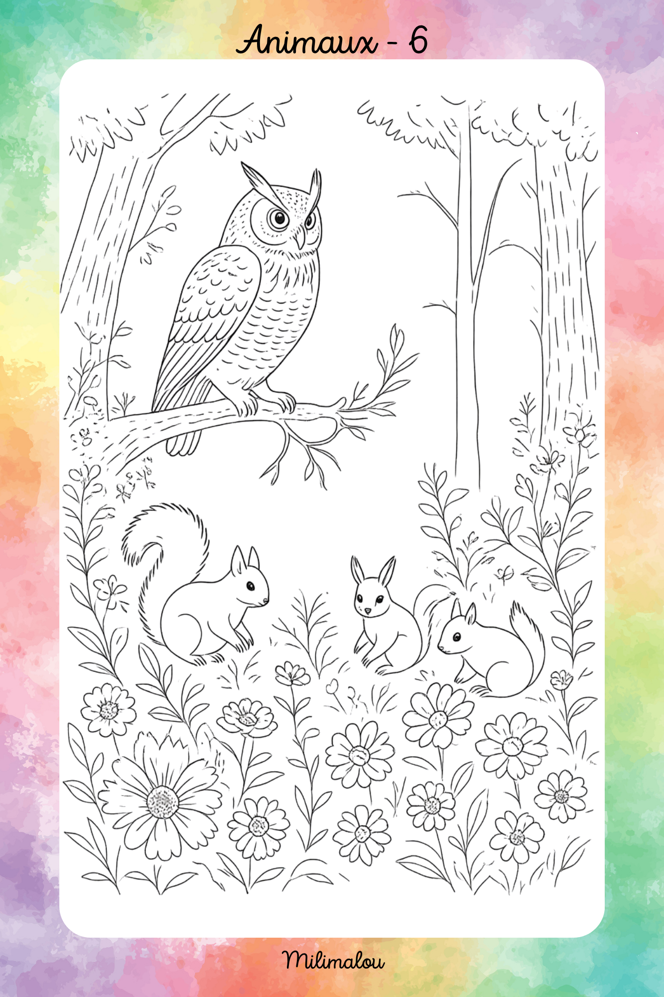 Colo Animaux A5