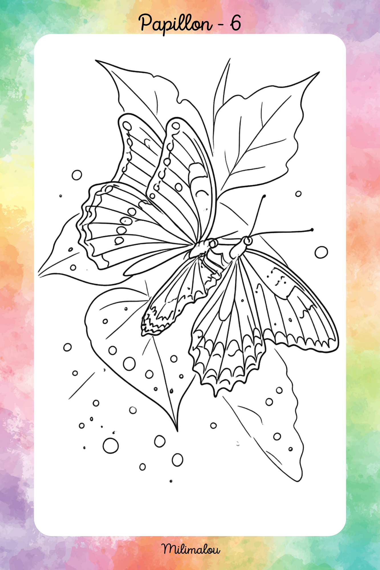 Colo Papillon A5