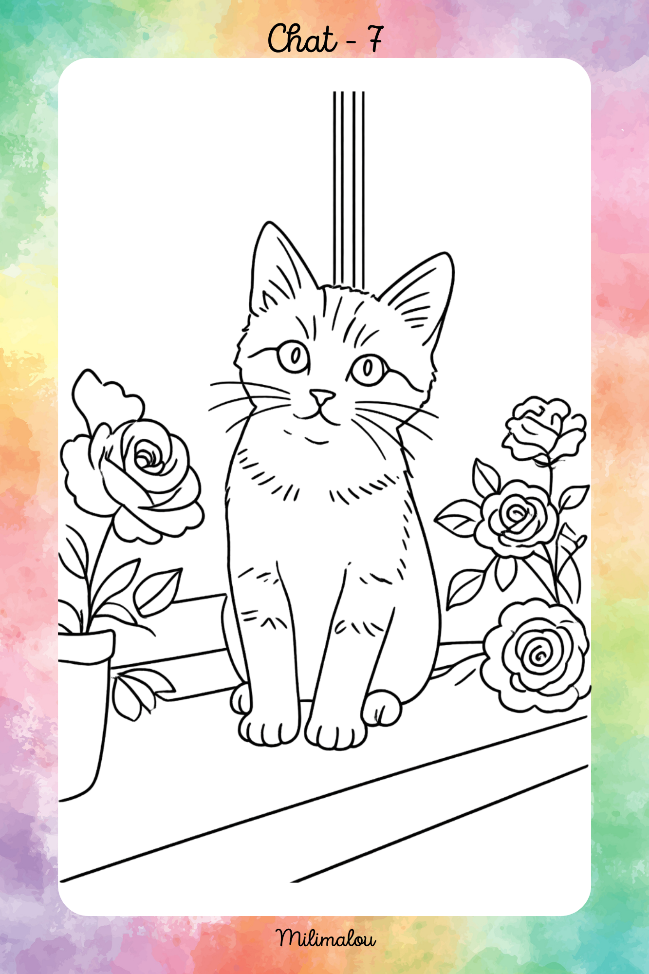 Colo Chat A5
