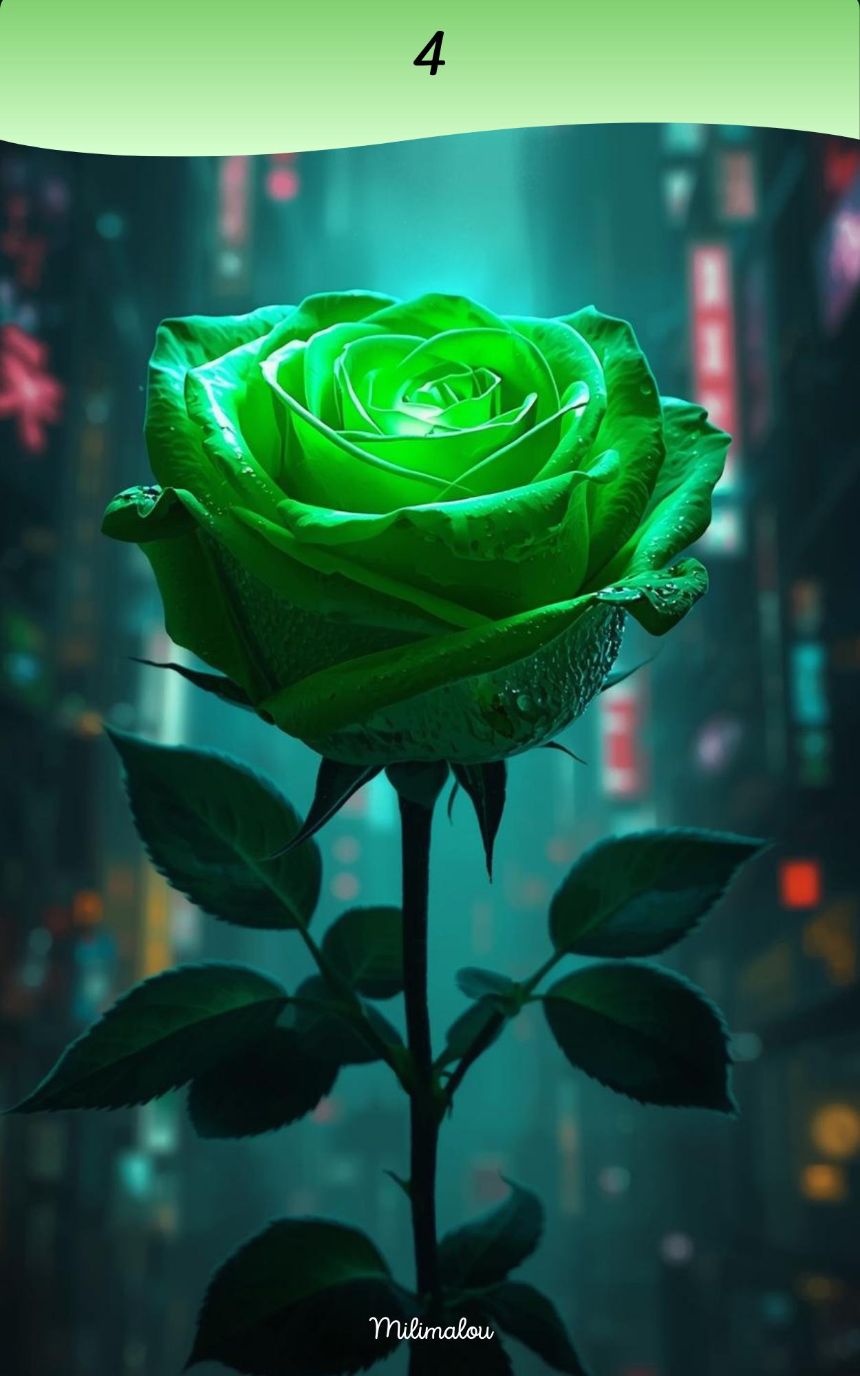Page de Garde A5 Rose