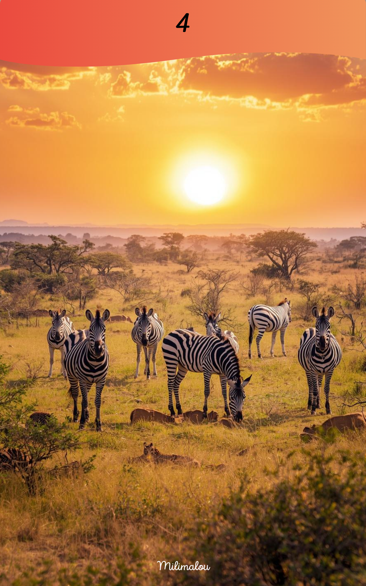 Page de Garde A5 Savane