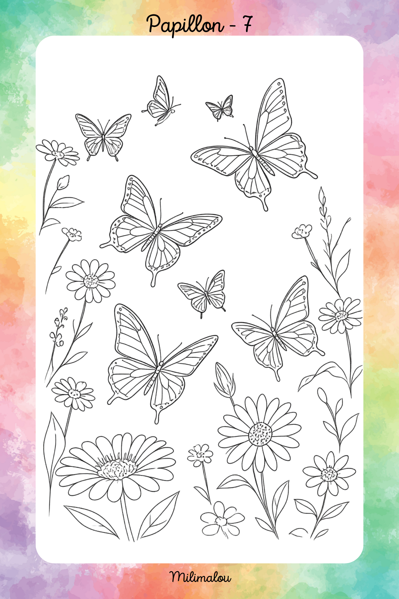 Colo Papillon A5
