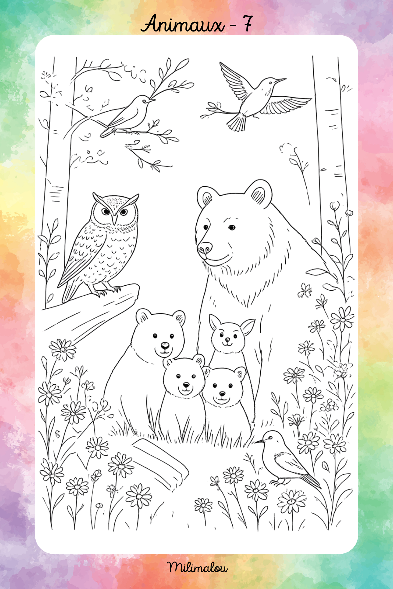 Colo Animaux A5