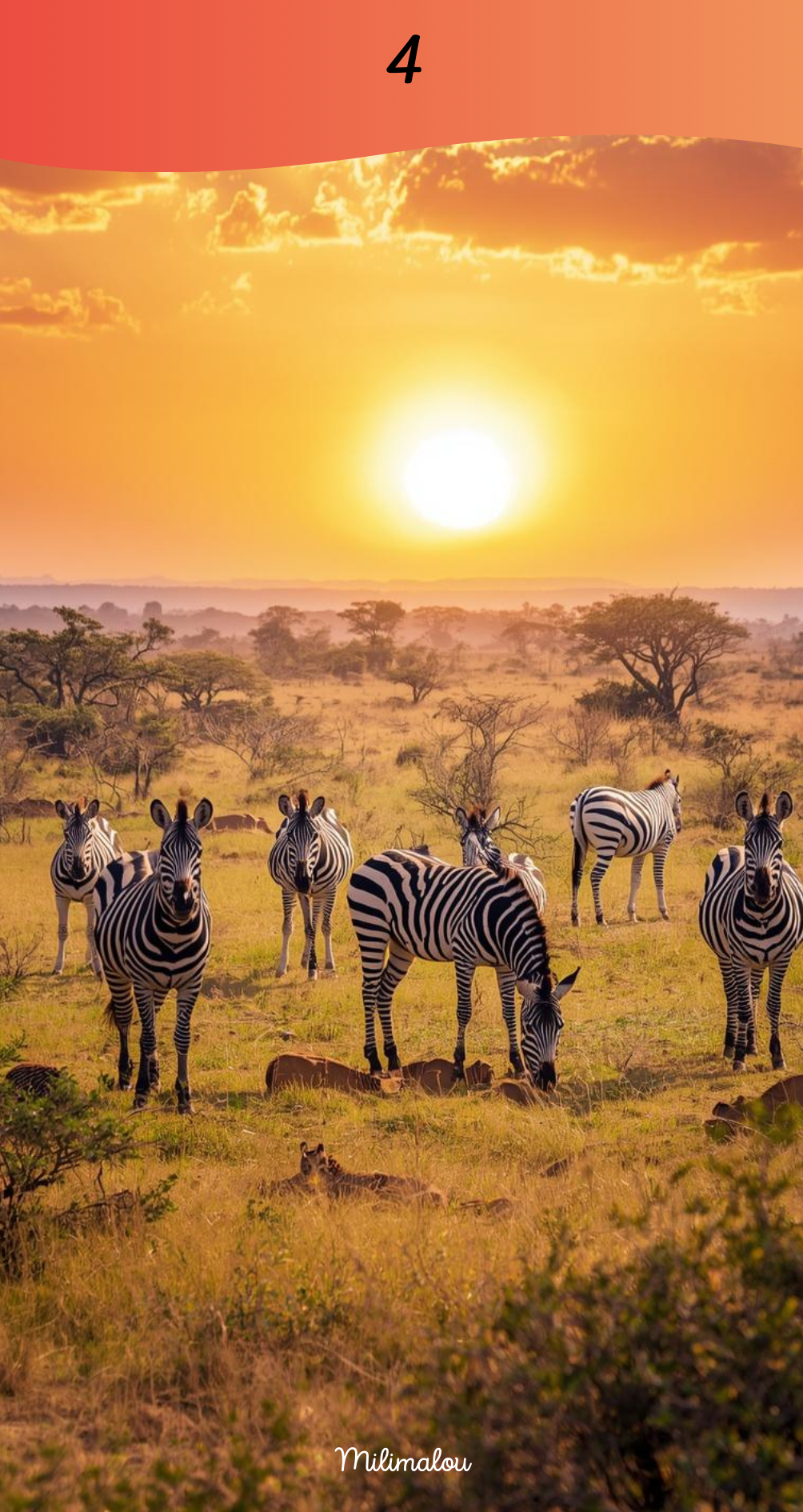 Page de Garde A6 Savane