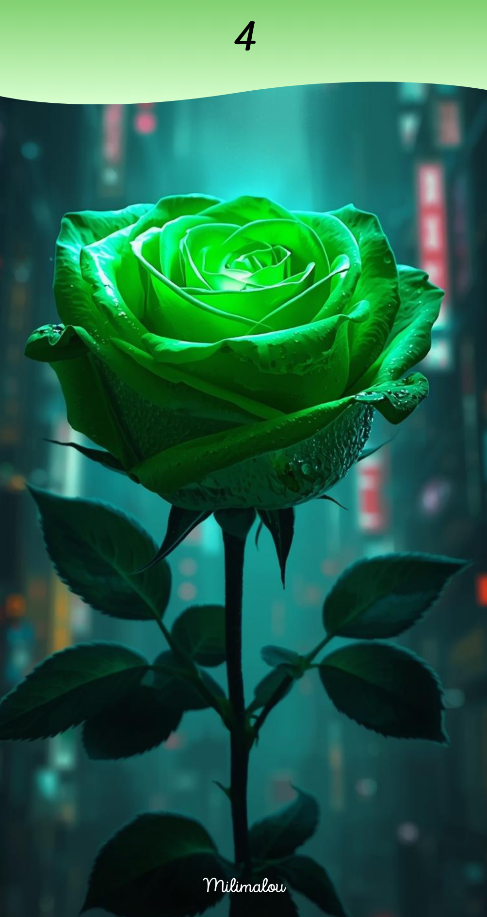 Page de Garde A6 Rose