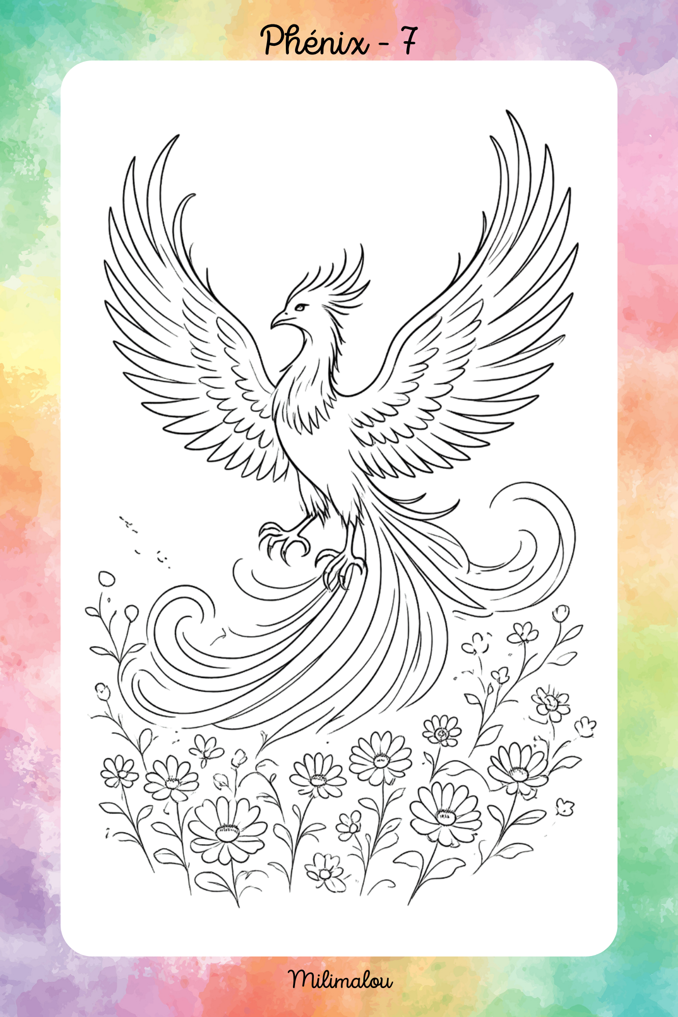 Colo Phénix A5