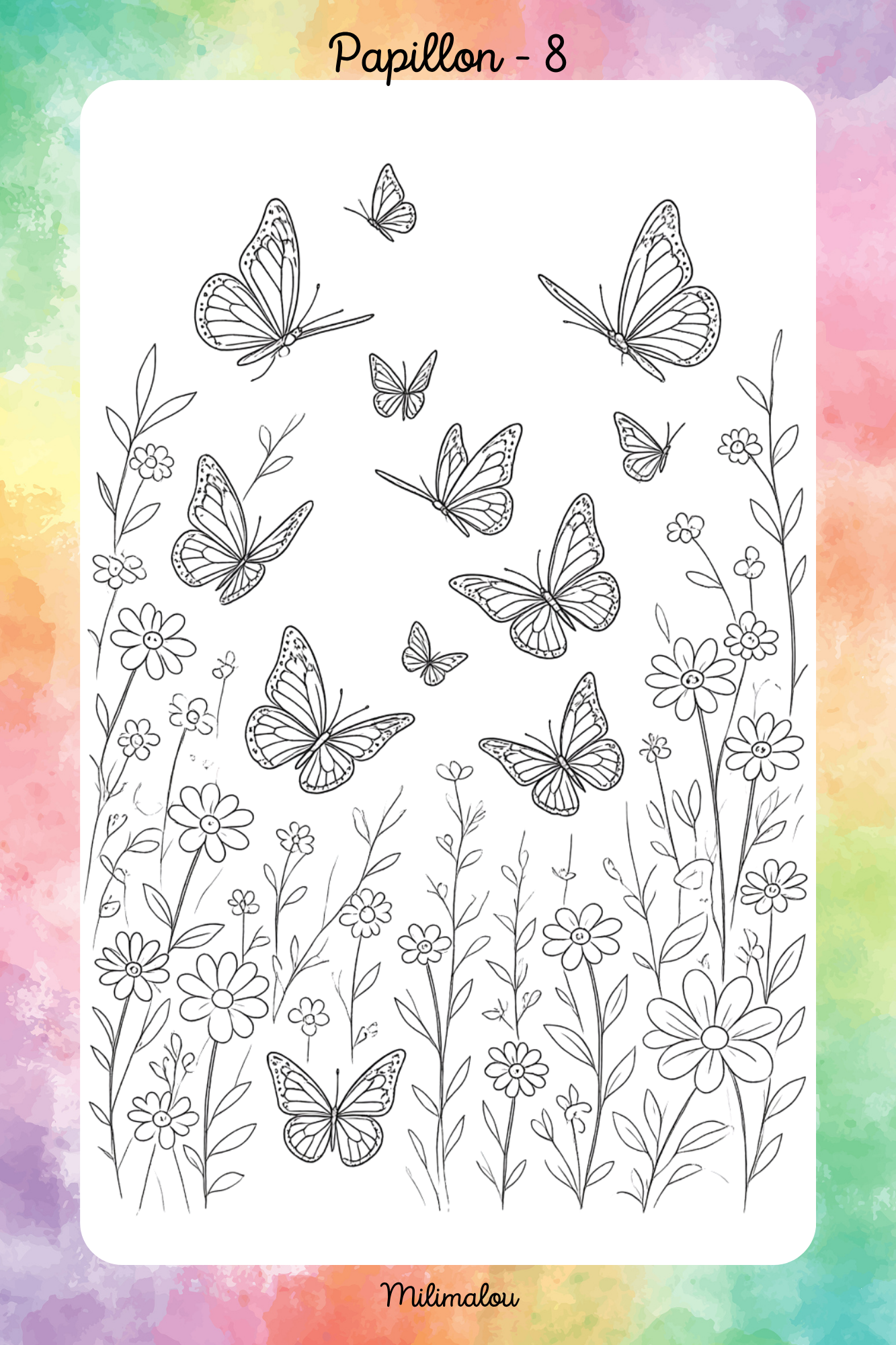 Colo Papillon A5