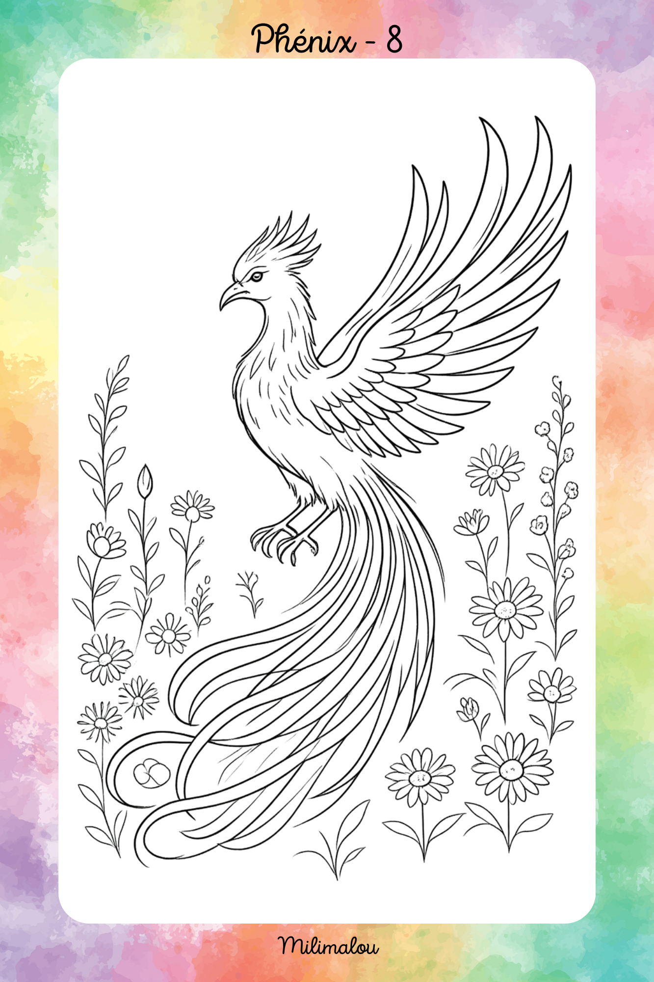 Colo Phénix A5