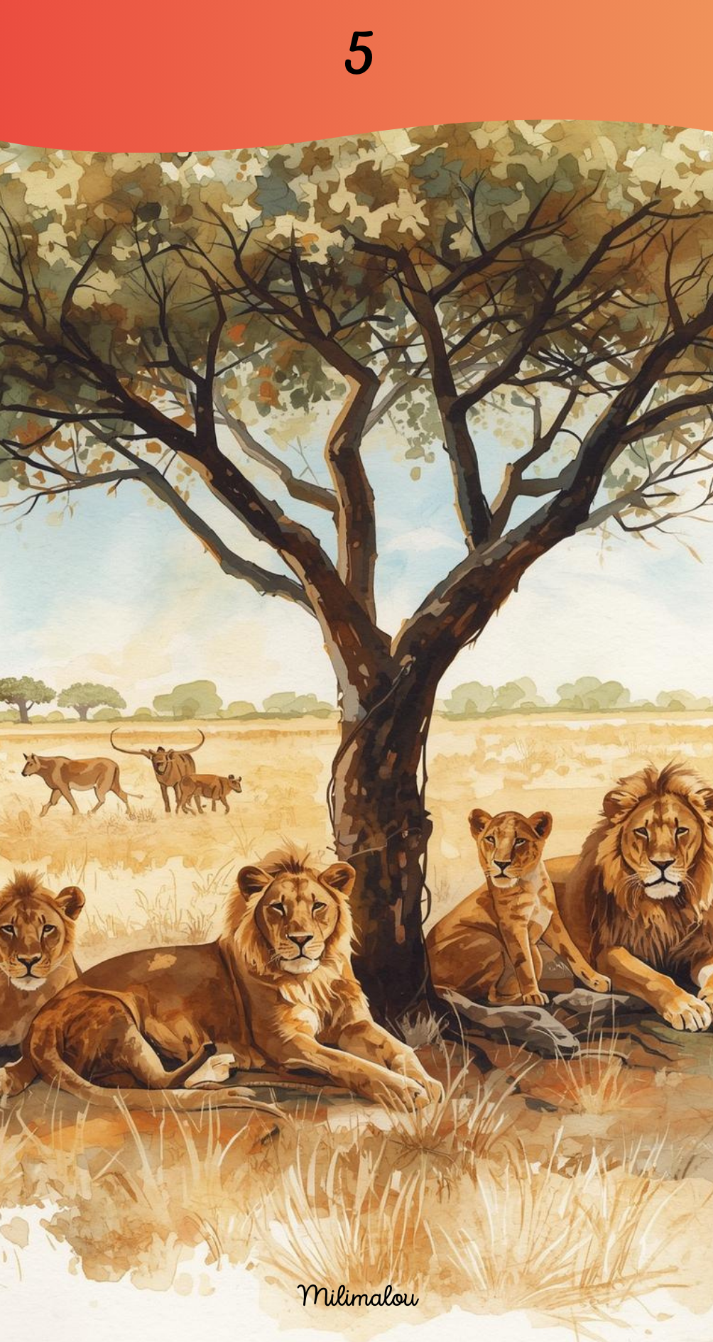 Page de Garde A6 Savane