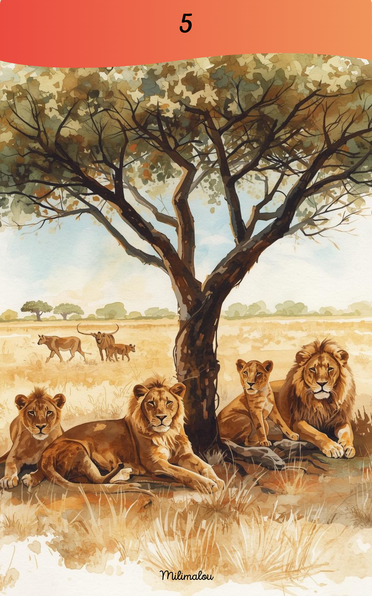 Page de Garde A5 Savane