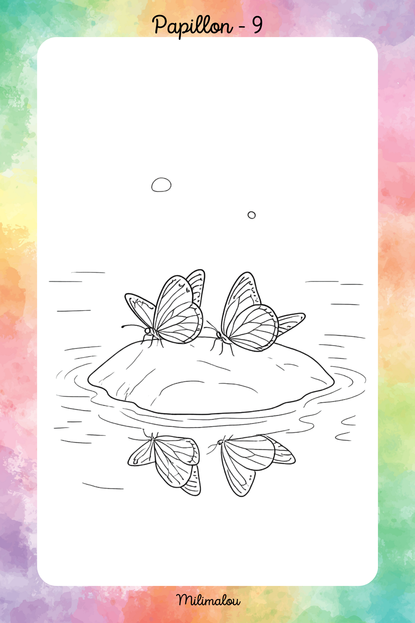 Colo Papillon A5