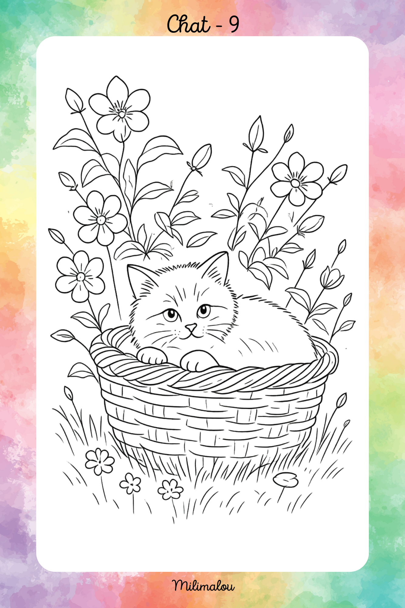 Colo Chat A5