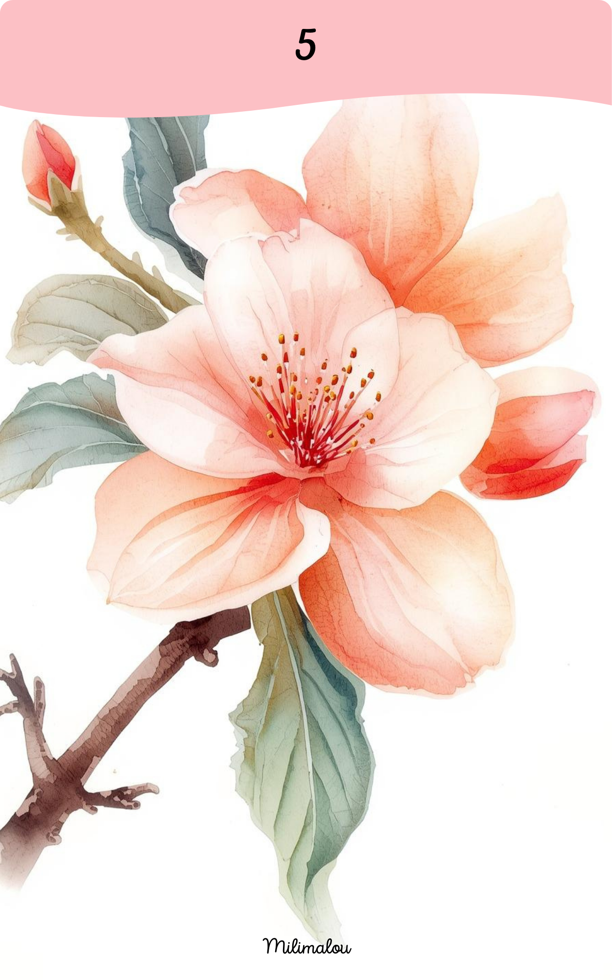 Page de Garde A5 Fleur de Pêcher