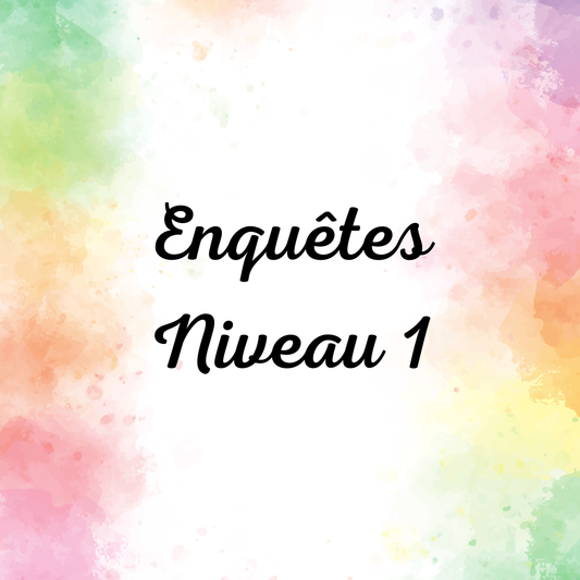 Enquête Niveau 1