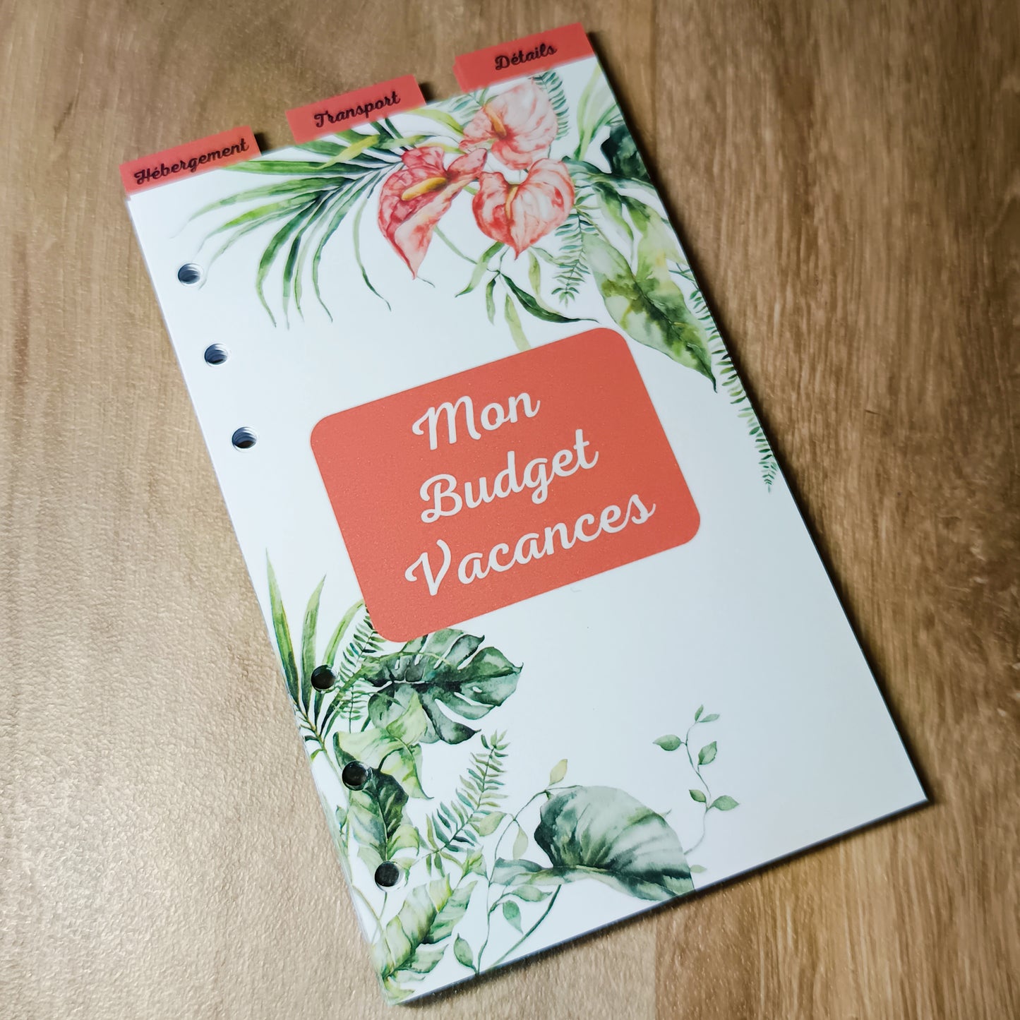 Fiches Budget Vacances A6