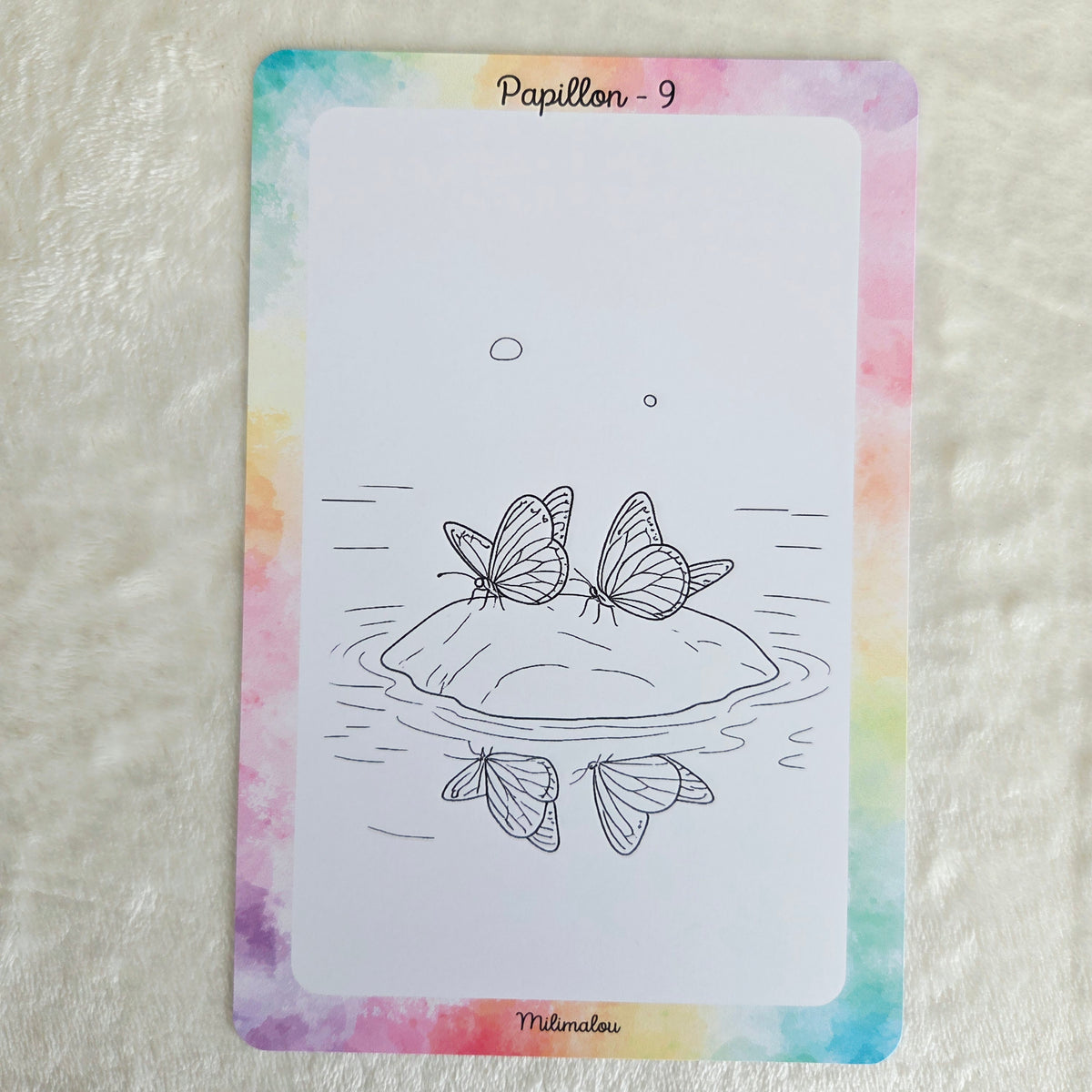 Colo Papillon A5 (Lot de 10)