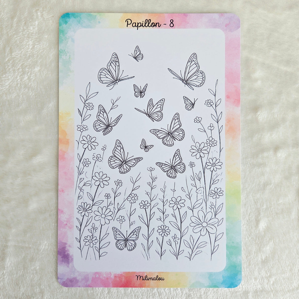 Colo Papillon A5 (Lot de 10)
