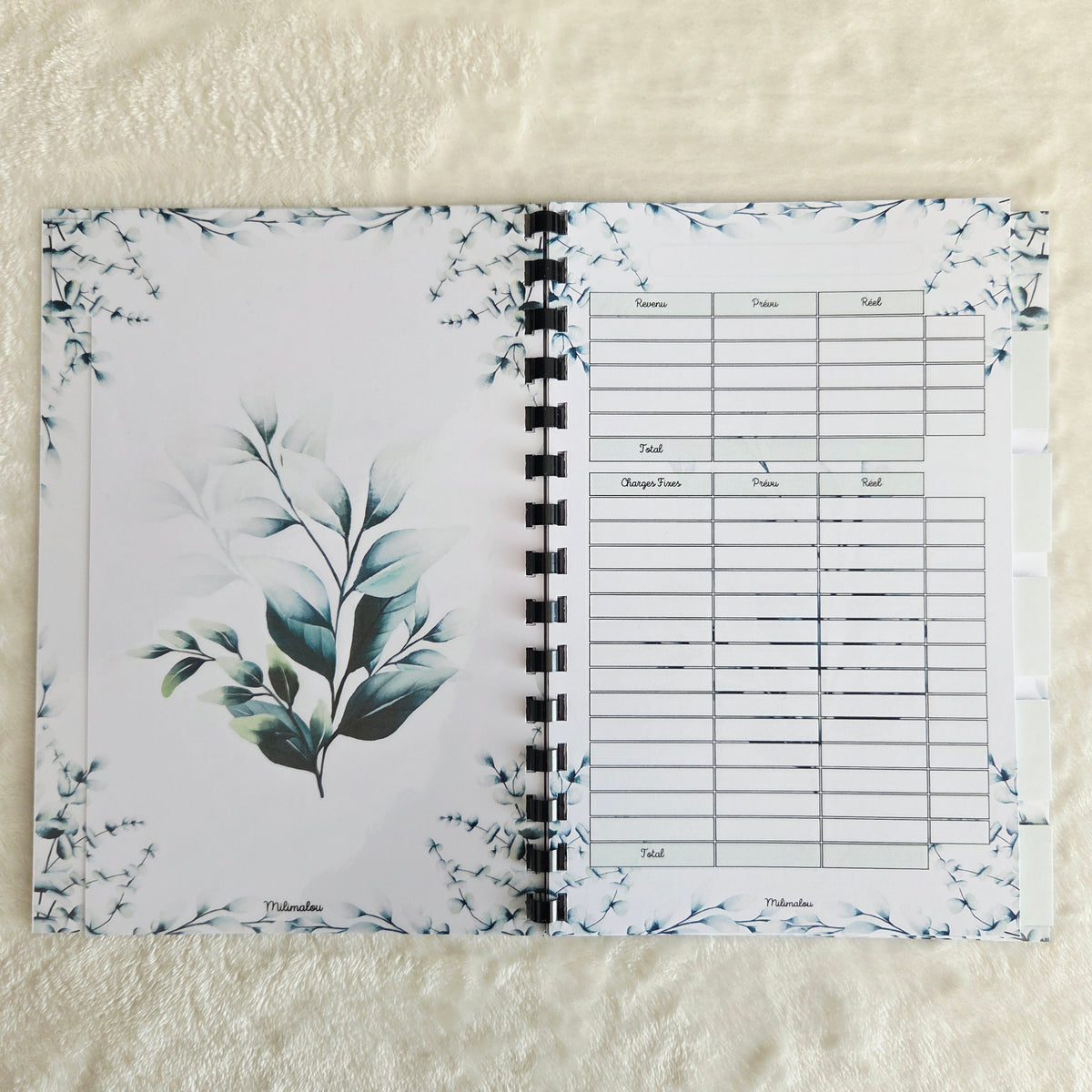 Budget 6 Mois A5 Plante