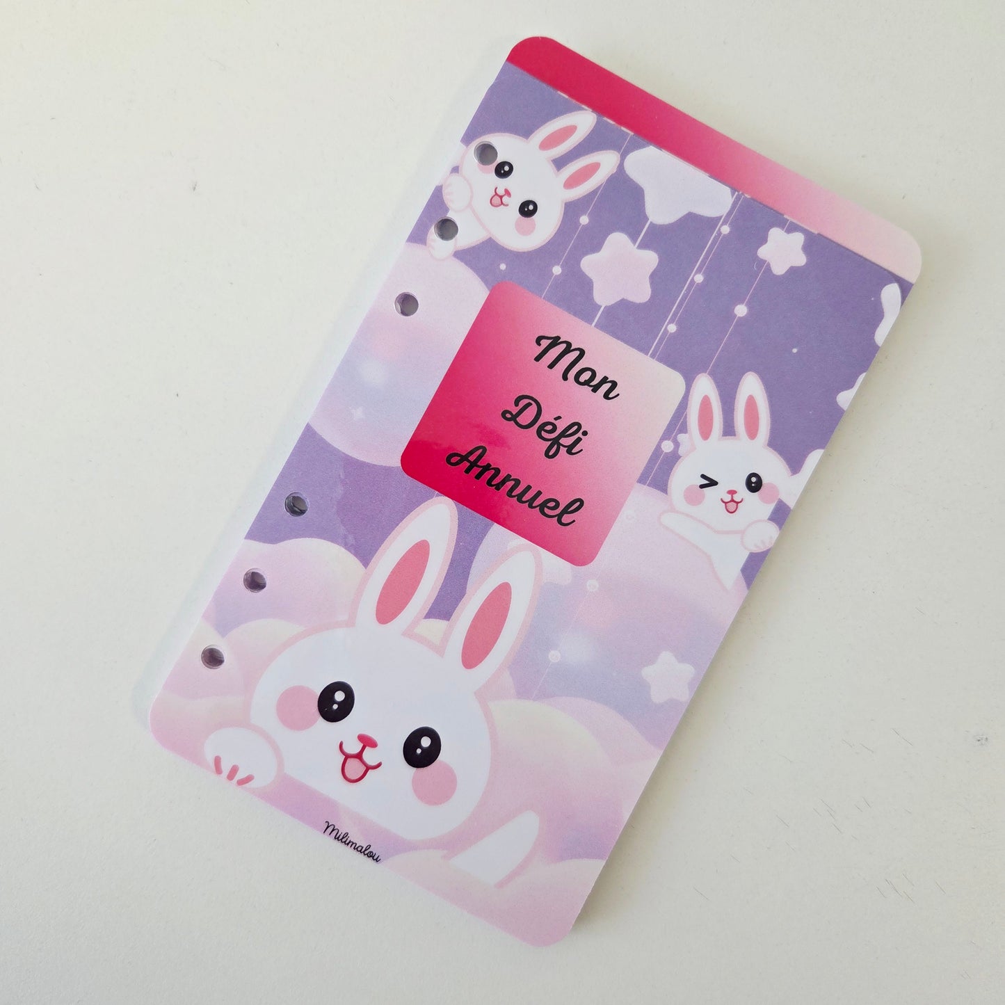 Défi Annuel A6 Kawaï Lapin
