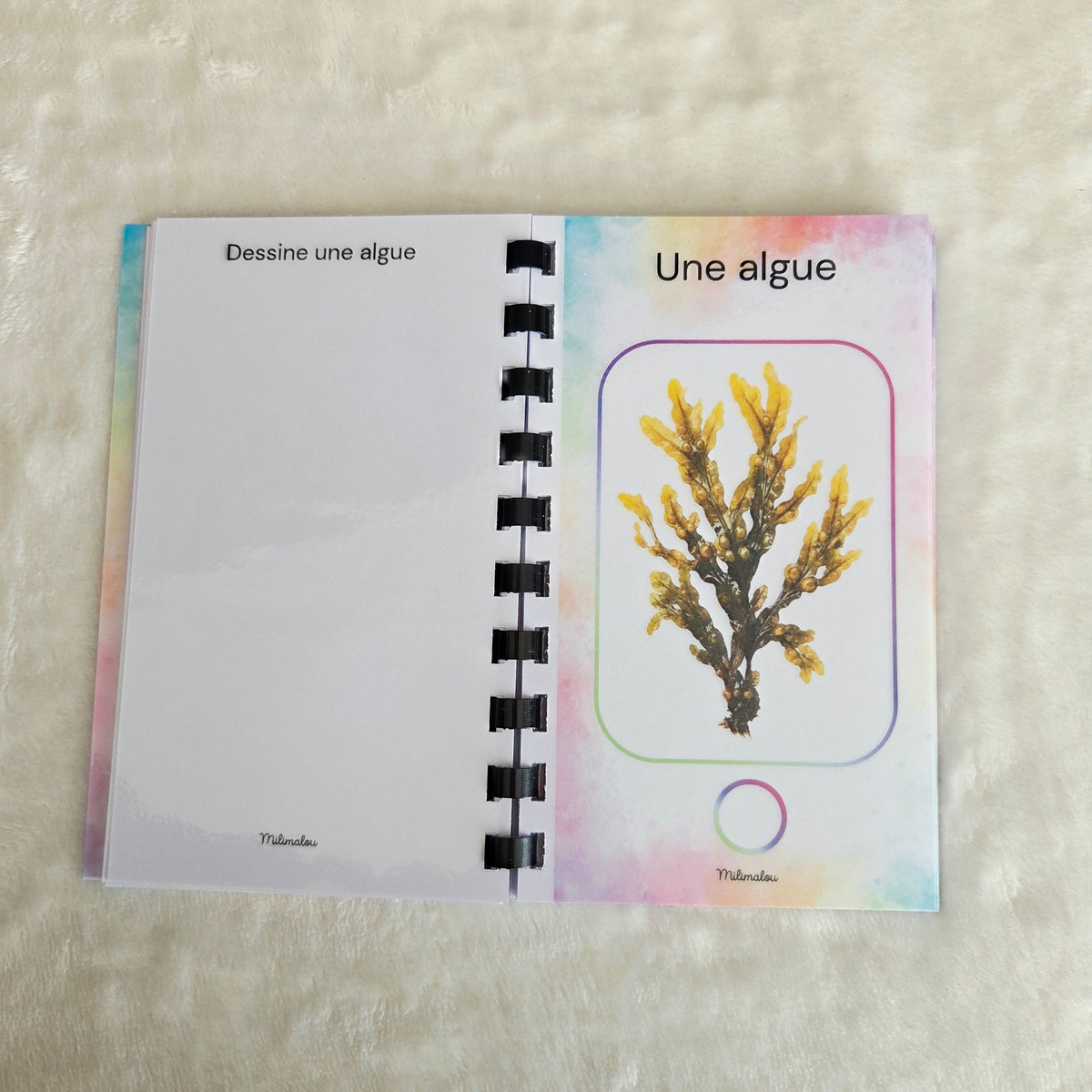 Cherche et Trouve à la Plage