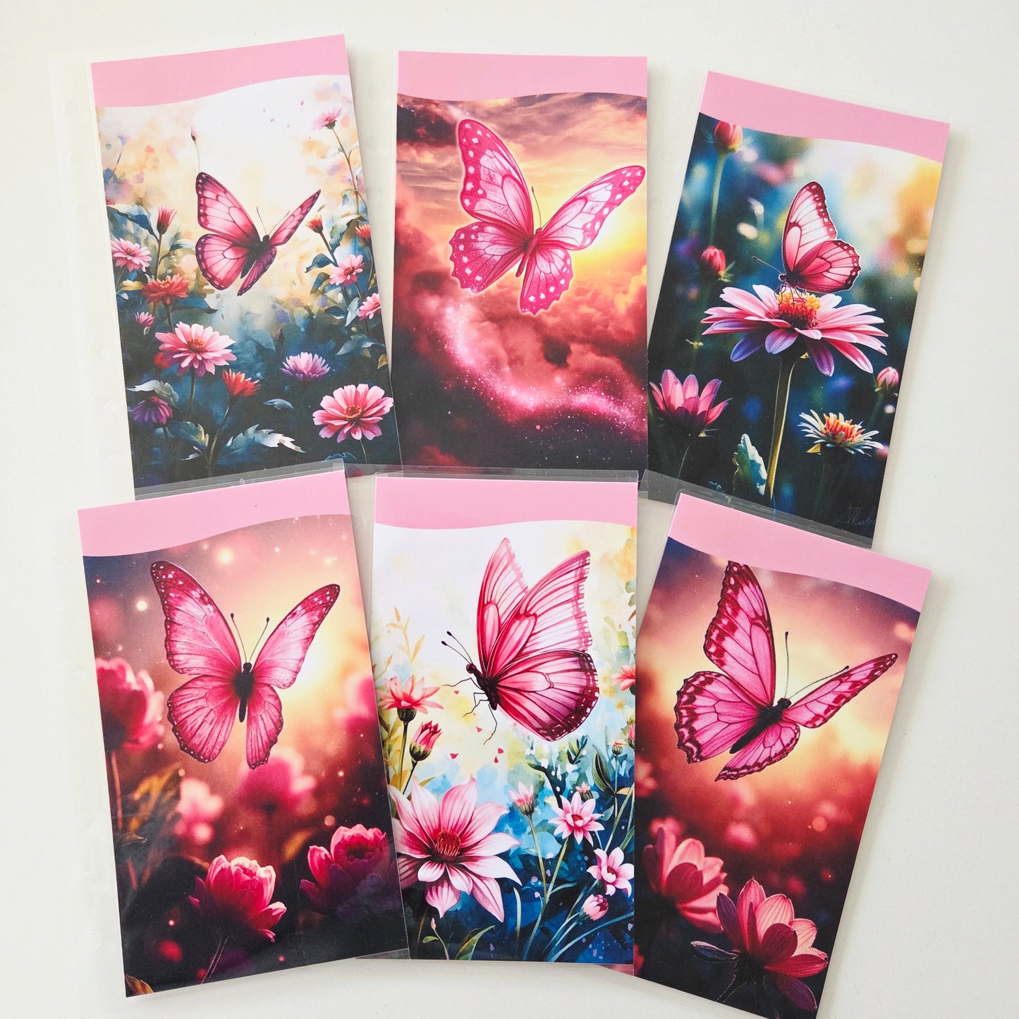 Pack 6 Enveloppes Papillons