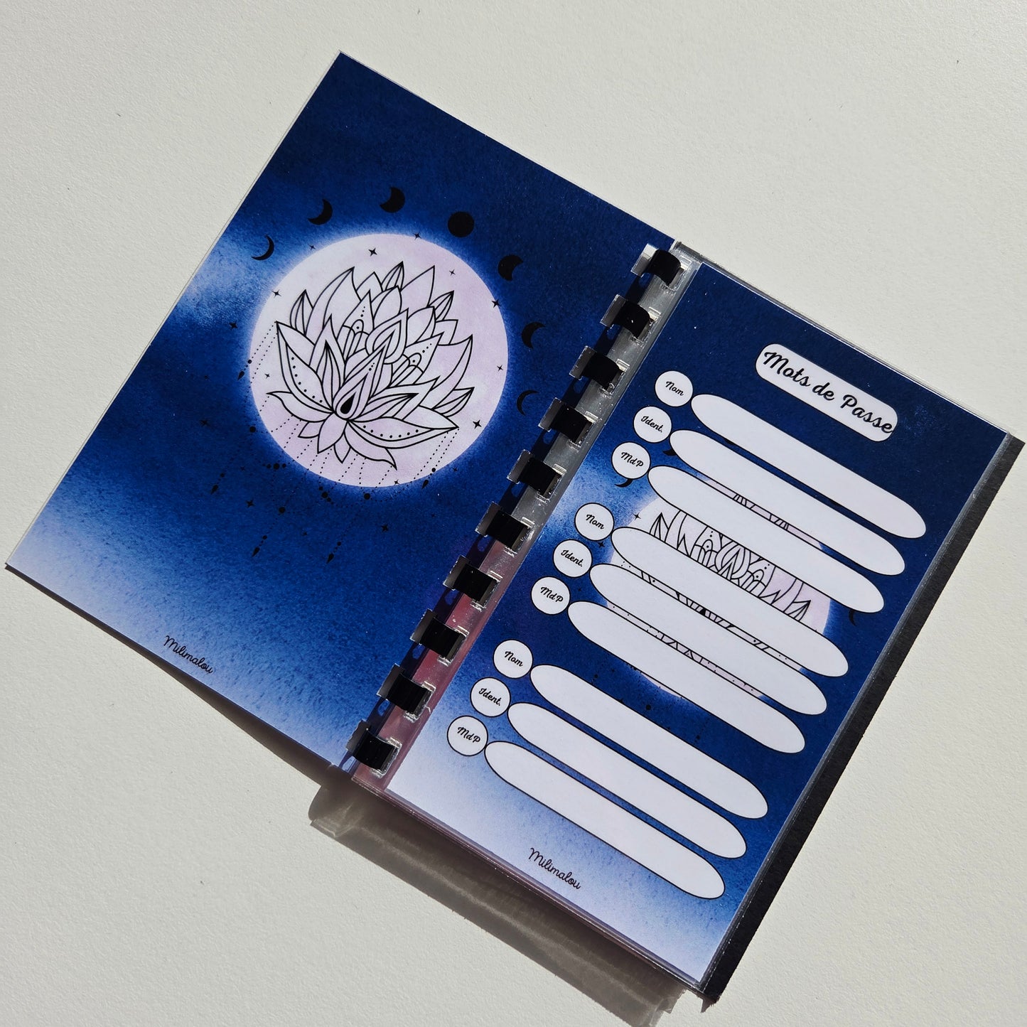 Mots de Passe Lune Bleu