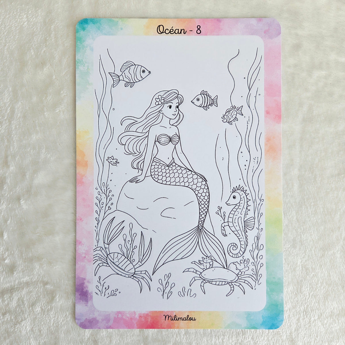 Colo Océan A5 (Lot de 10)