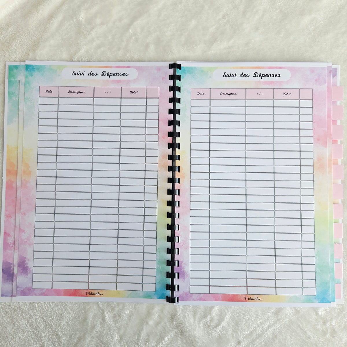 Budget 12 mois Arc en Ciel