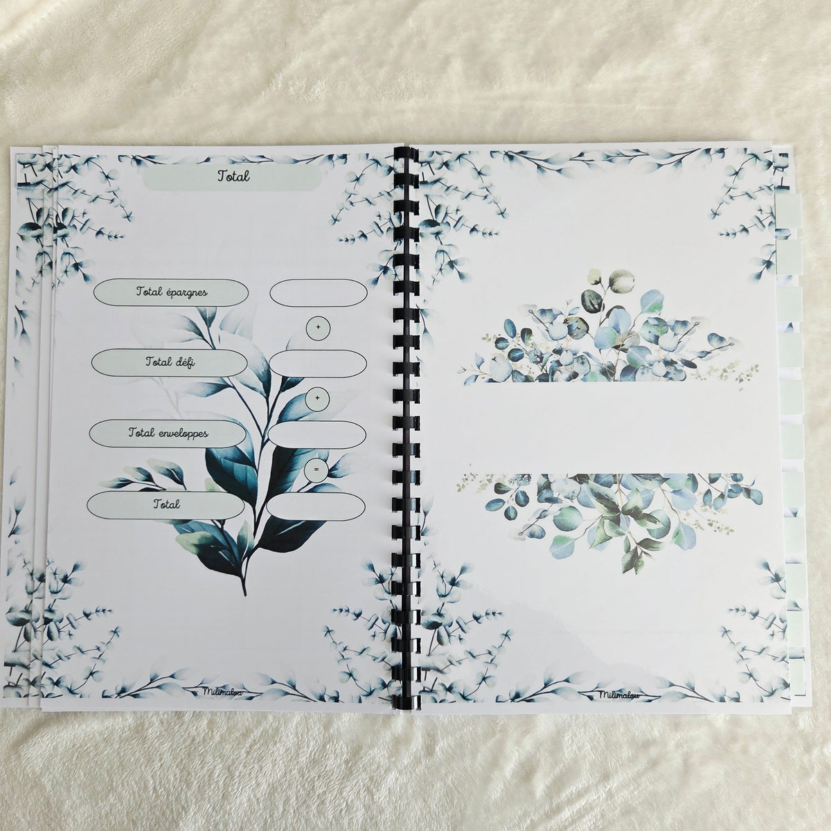Budget 12 mois Plante