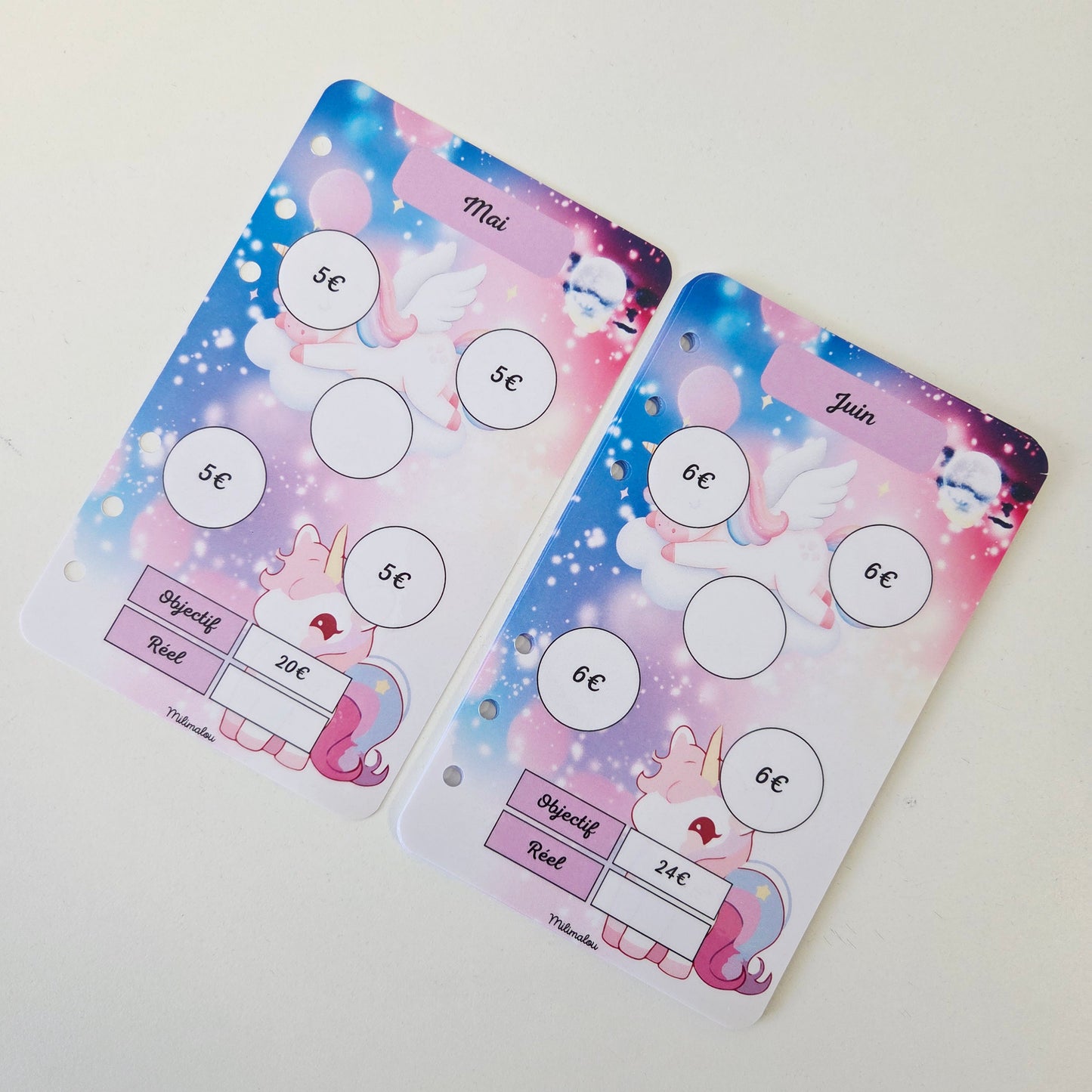 Défi Annuel A6 Licorne