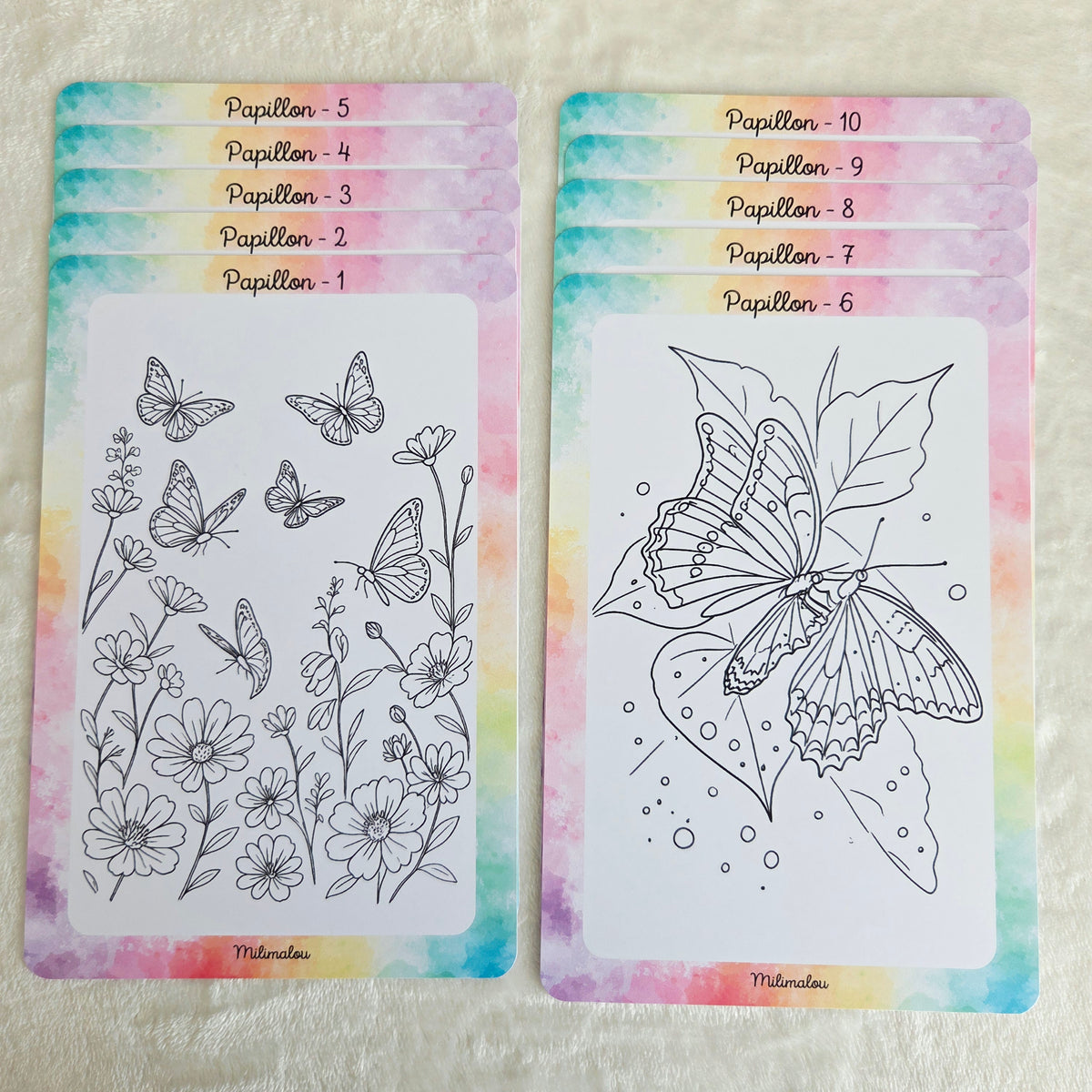 Colo Papillon A5 (Lot de 10)