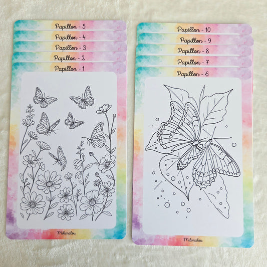 Colo Papillon A5 (Lot de 10)