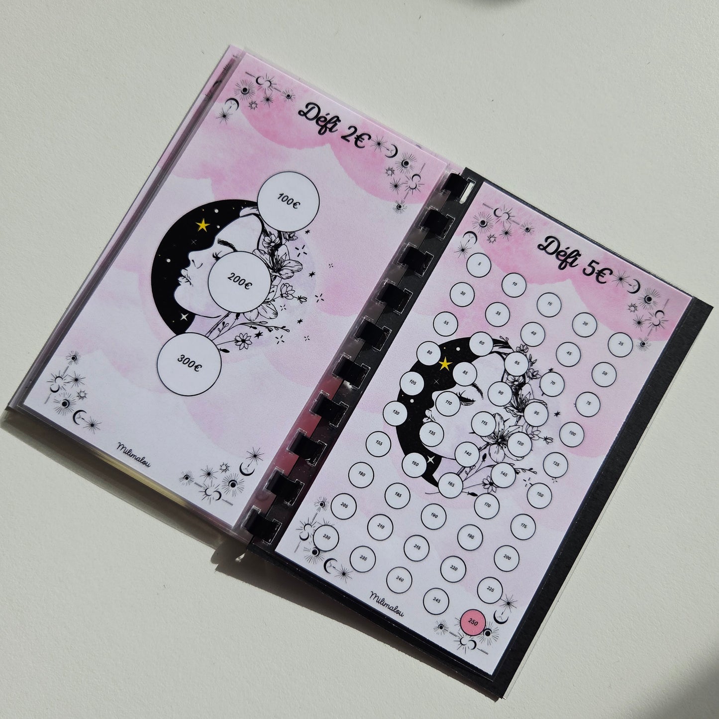 Mes Défis € Lune Rose