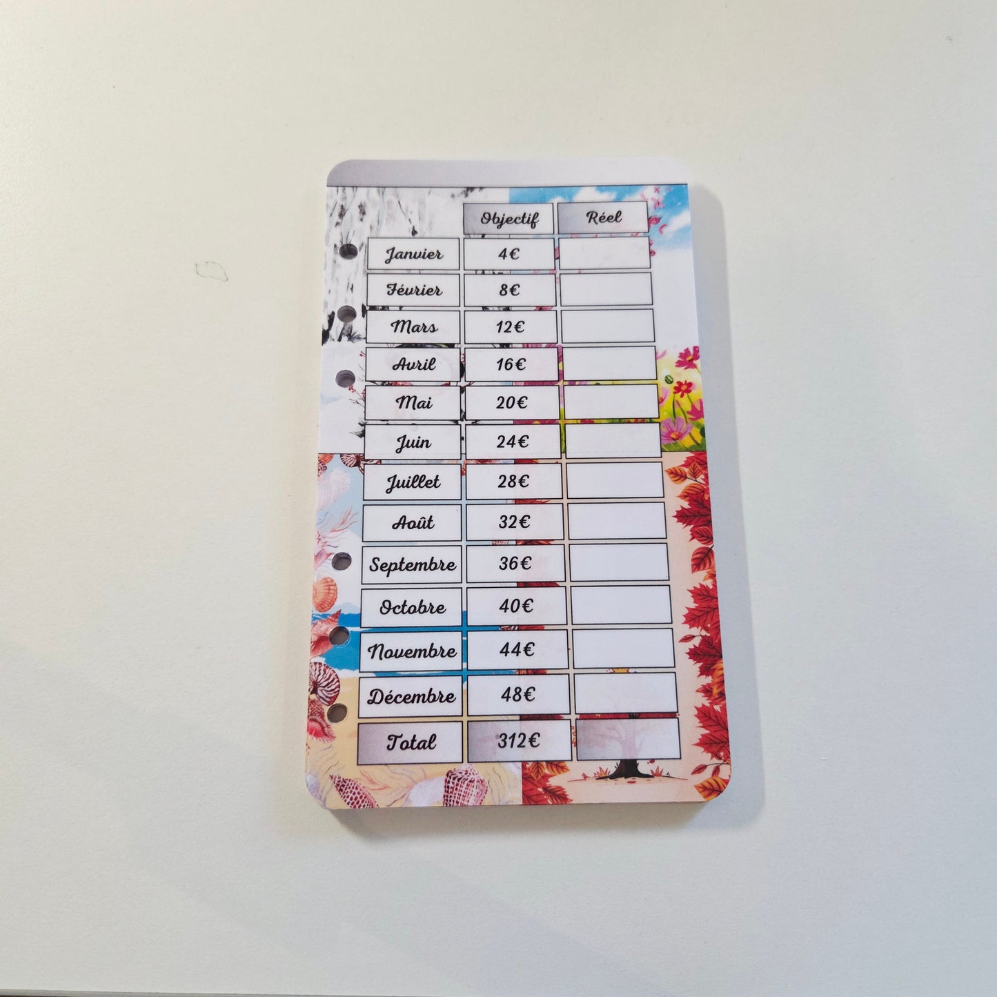 Défi Annuel A6 Saisons