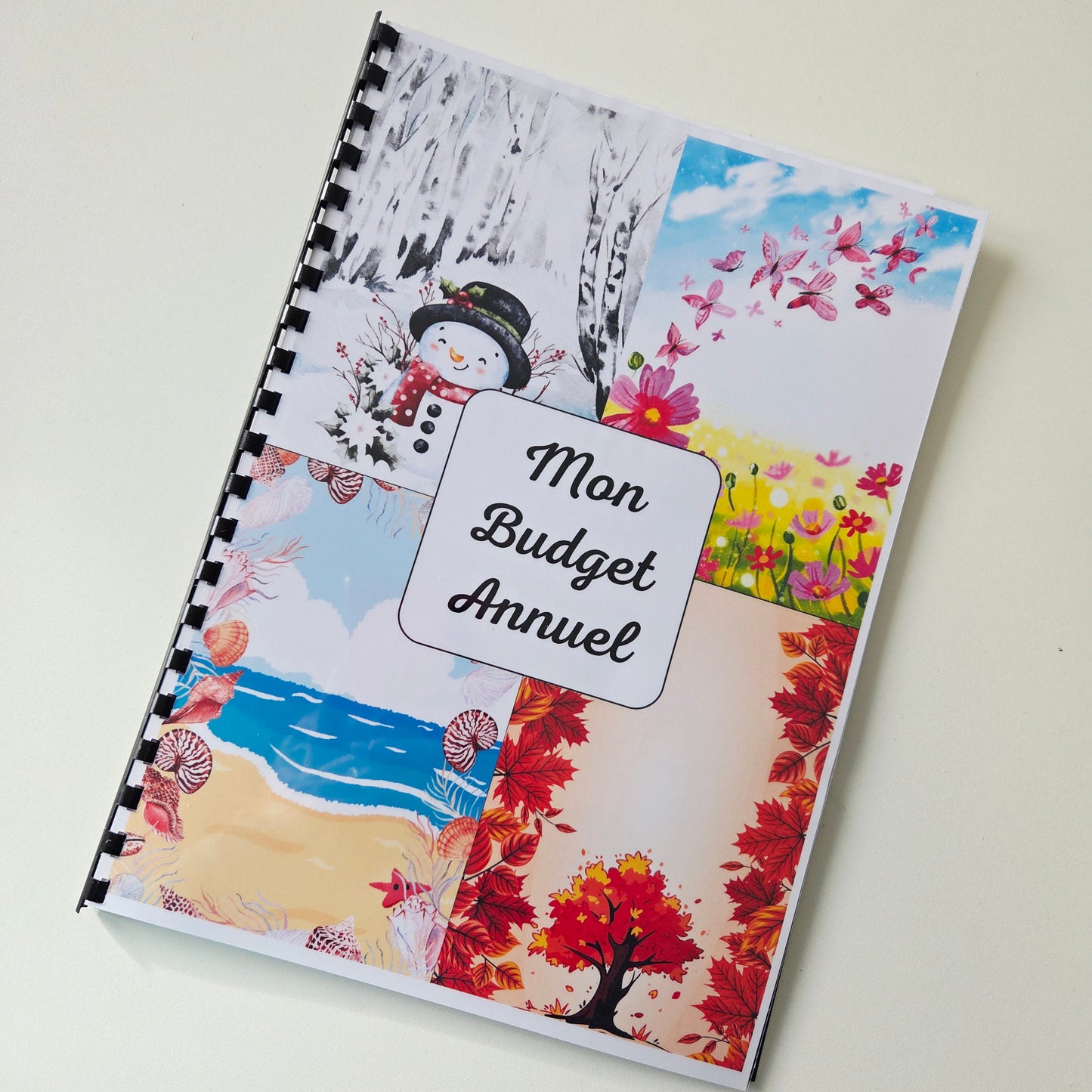 Budget Annuel Saisons