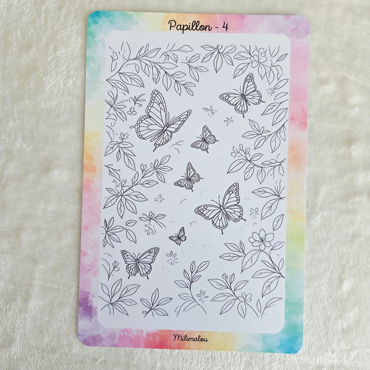 Colo Papillon A5 (Lot de 10)