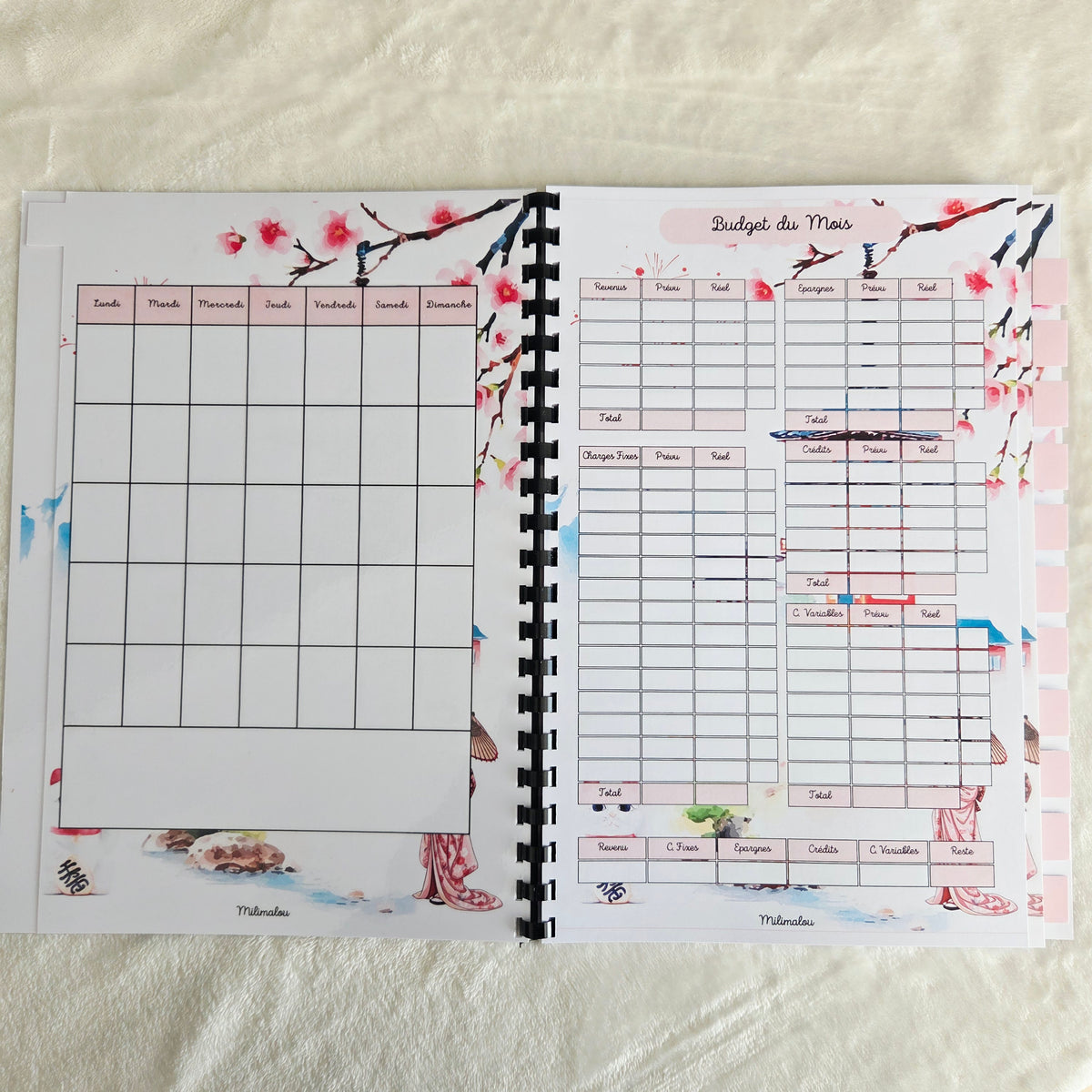 Budget 12 mois Japon